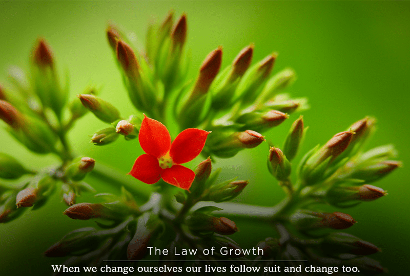 Karma 4 - The Law or Growth