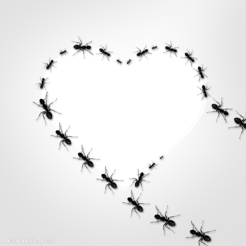 Ant Love by DezignerDude
