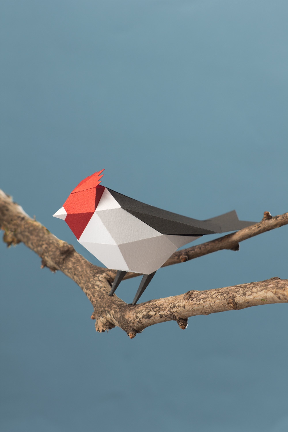 Paper Mocking Bird